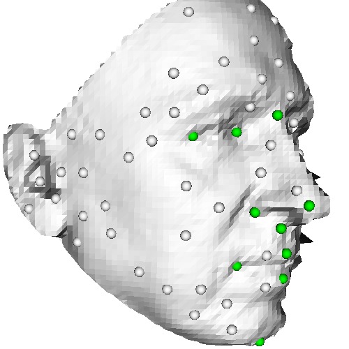 3D face landmark labelling